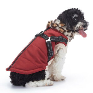  hbOEFA ԎU  tN^[ {A t[X ȓ ~p h g  xXg WPbg bh ubN |GXef