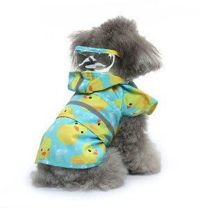 p CR[g ^ ^ ^ SΉ ybg J |`^Cv Aq ~co` 킢  h y U o |GXe CG[ O[ sN