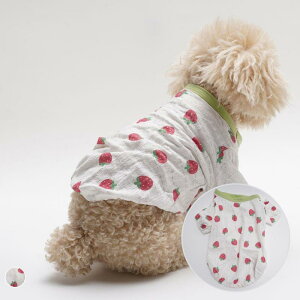 hbOEFA ^ Lp tH  킢 C`S p[J[ XEFbg g[i[ 񑫃^Cv |GXef Lk jp ig U  zCg