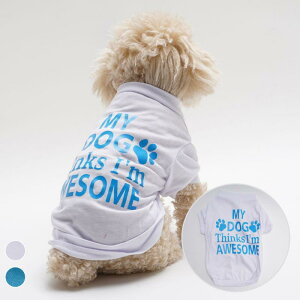  L jZbNX   TVc At@xbg Svg n  |GXe ViEU[ rVt[[ 킢 JWA U o u[ zCg