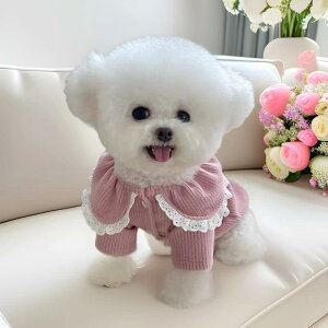 ybg ^ ^ efB gCv[h rVt[[ H~ jbgJ[fBK TSt[X  [X sN ۉ g h ɗD AE^[ 㒅  o