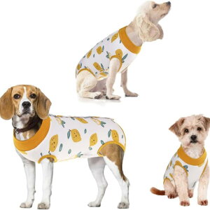 p㕞 ybgp  L  L  Dp pPA ی  񕜃EFA }i[pc  Rbg _炩 ʋC  IW