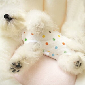 ybg Lp H~ ی  p㕞 ₦΍ ΍ h ۉ rߖh~ pW}  ^ ^ ȓ |GXe t[X hbg N}