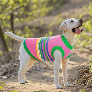 hbOEFA  H~p Z[^[ jbg R[t[X h ^ ^ uh[ {[_[R[ S[fgo[ ȔzF vI[o[ 