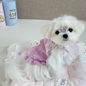  ^p hbOEFA ybgEFA H~ jbg Z[^[ vZX [X Xgbv gbvX [NVeA }`[Y rVt[[ EFXeB pXeJ[ U