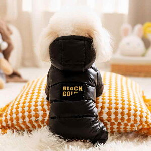 pEFA ^ efB rVt[[ H~ Ɍ OtFM _EWPbg lrȂ |GXe h  fUC UKX^C U o