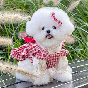 hbOEFA ^ ^ qp vZX hX t [X ^[^`FbN Wp[XJ[g t  y   U o ybgpi