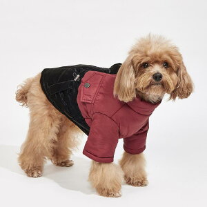 ybgEFA ~p ȃWPbg h h ۉ g y Vv ؂ւ oCJ[ EȒP |GXe U o ԍ D