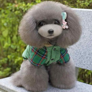 ybg ~  L t[ht N  ȓ  h hbOEFA LbgEFA l Ȃ I[C JWA m U