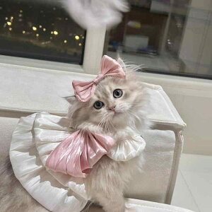 ybgps[X  L 킢 L~\[ [hΉ  AN sN t }`[Y [NV[eA hbOEFA LbgEFA U o 