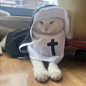 ybg 킢 VX^[ N C Cm t[ht Ȃ A̕ RXv  ϑ nEB ߑ Cxg p[eB[ ^ L qL qp RX`[  ϐg 