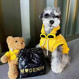  ^ H~ 킢 RR t[X xXg EFXeB gCv[h ViEU[Ή m |GXe CG[ JWA