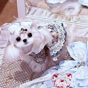  hbOEFA [^ ԕ vZX s[X hX 킢  t i |GXe tH~ U op ^ ^