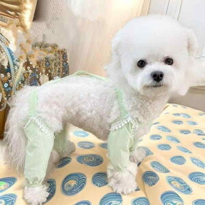 pEFA ^ gCv[h |jA U D h~ ho Sgی l p[X Ȃ 킢  Jg[ JWA |GXe O[ 