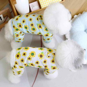  hbOEFA t bV  ʋC  lr p[X  [EFA Ђ܂蕿 efB rVt[[ ^ |GXe JWA u[ zCg