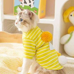 XEFbg  Lp H~ LN^[ 킢 ||t n[lXΉ {p Đ@ JWA U o CG[ sN ubN