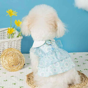  ^ Lp n[lX̌^ s[X [X t hbg ʖ͗l |GXe hbOEFA 킢 U o ybgEFA u[n CG[n