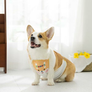  ^p 킢 R[M[ vg h  cCn  Jo[ I[V[Y U o ig ی m EFA