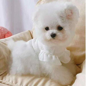 L t s[X 킢 hbOEFA LbgEFA  y t m[X[u gCv[h rVt[[ ^ U i |GXe sN 