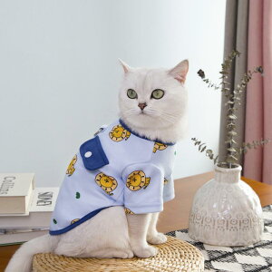 ybgEFA t  L ^p xXg ^Ngbv 킢 LN^[ CXg UVJbg Ă΍ JWA |GXe AvRbg u[