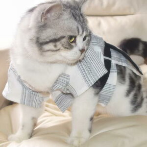 ペット服 猫 犬 小型犬 変身ウェア 和風浴衣 かわいい 薄手 通気性 春夏秋 ポリエステル お祭り お散歩 コスプレ 記念撮影 グレー ブラック