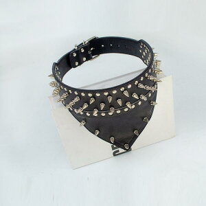 ybgpi p [hZbg o_i X^bY XpCNt ݂h~ ϋv PUU[ ^ ^ ی I[V[Y EGX^ ubN bh u[ sN