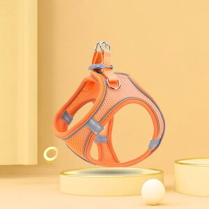  Lp  n[lX xXg^ ˍ ʋCbV y z U o P [hZbg Eɂ S