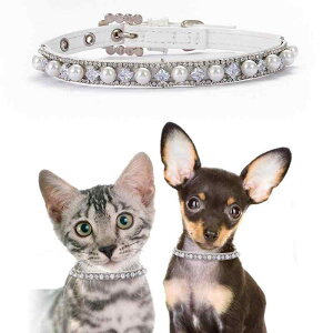 ybgpi L ^p  [h Zbg p[lbNX `[J[ J[ 킢 vZX ԕ tFCNU[ zCg S[h Vo[ U ʔN