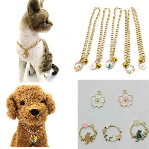 Lp ANZT[ ^ t[[X  `[ y_g 킢  vZX a LO Mtg v[g