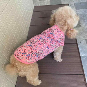  hbOEFA H~ 킢 ԕ ԕ iq ʕ   xXg `bL ^ ^ ^ g h ig U o