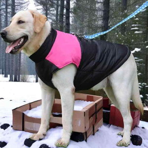  hbOEFA H~ ~ ^ ^ ^  h ۉ AE^[ R[g WPbg xXg |GXe h  V JWA p 