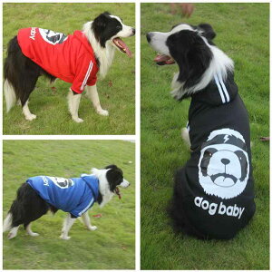  XEFbg g[i[ t[X p_ ^ ^ q S[fgo[ TGh nXL[ {[_[R[ H~ JWA h ۉ 