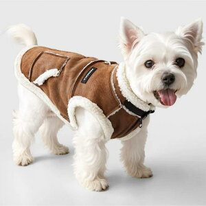  hbOEFA ^p gCv[h rVt[[ H~ h ۉ fj XG[h n[lXxXg [htbNt U op _[NuE CguE