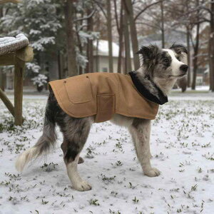 hbOEFA ^ h ȃWPbg R[g  JWA ϋv v |GXe IbNXtH[hn H~ ~p J[L A[~[O[ ubN