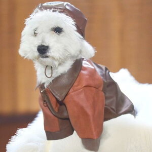 ybgEFA  L ^p U[ WbvAbv AE^[ tH~ ۉ h ueBbVX^C ViEU[ rVt[[ v[h EFXeB }`[Y m