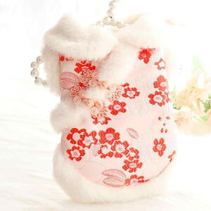  L ^p H~ vZX PlhX ؕ  `Ci  VN ꒅ LOBe RbgEFA 킢   sN u[O[