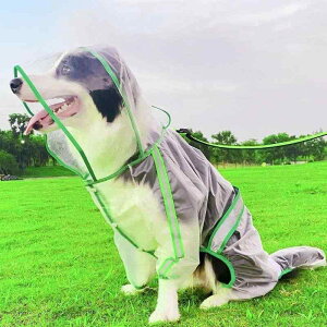 pCR[g ltJo[ Kی NA^Cv h |` SΉ |GXe J U o