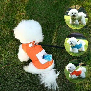 hbOEFA p n[lX̌^ xXg ߉\ h ۉ H~ WPbg AE^[ rVt[[ gCv[h R[M[ ^ ^ |GXe JWA U AEghA 