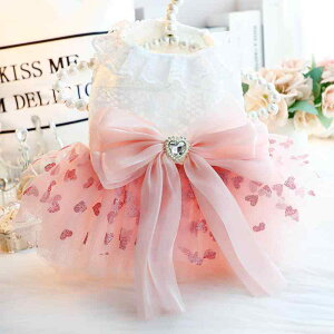  L ^ gCv[h vZXC EFfBOhX 畞 n[g ӂӂ {[ o p[eB[  LOBe  sN tH