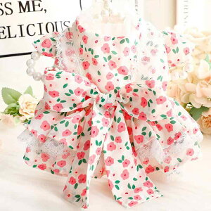  L ^p ^ v[h t  vZX Pn [^ s[X hX XJ[g [Y o ԕ  Rbg sN U o 