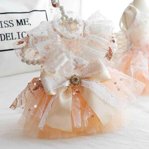 L ^ Lp vZXhX EFfBOs[X [X [YS[h t  o  LOBe a p[eB[