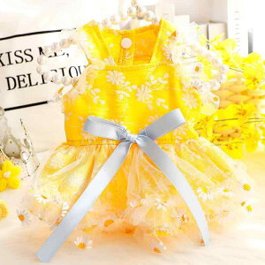 ps[X t  킢 vZX Pl fCW[ ԕ t L~s[X ^ gCv[h L  Rbg CG[  ʋC ig U