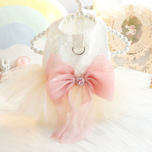 ybg  ^p t  킢 vZX EFfBOdl  Plts[X  ItzCg gCv[h ` U o