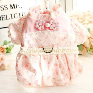 hbOEFA ^ Lp t  Rbg vZX g `CihX ԂтXJ[g 킢  sN CG[