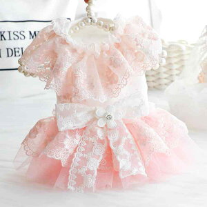 ybg  L ^ ^ gCv[h ` [L[ |jA vZXhX EFfBOhX s[X [X hJ ChJ[ t Rbg sNn zC