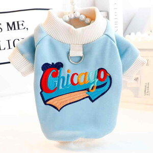 LpEFA ^ efB Lp tH XEFbg g[i[ [ht n[lXΉ Jt u[  Rbg ig U JWA 킢