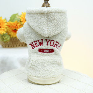 hbOEFA LbgEFA H~ {A XEFbg g[i[ p[J[  L m h ۉ g JWA j[[Nvg  U o 킢 |GXe j