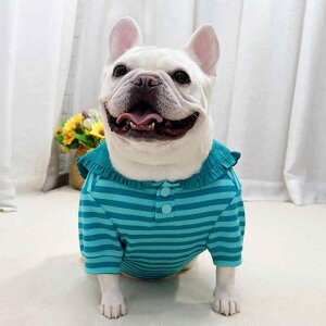  p t`uhbO pO uhbO ߌ ^ ^  TVc |Vc gbvX  K i U u[XgCv {[_[ Rbg ȑf H~