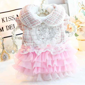  hbOEFA ^ Lp H~   Rbg vZX Pn n[g t eBA[hXJ[g Up n[lX sN u[ gCv[h }`[Y