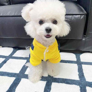 ybgEFA ^ Lp H~  ȓ |GXe lȂ I[C  h U  gCv[h rVt[[ |jA JWA